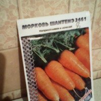 Семена моркови Кольчуга "Шантенэ 2461"