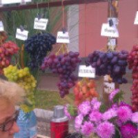 Выставка виноградных сортов (Молдавия, Тирасполь)