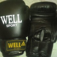 Перчатки боксерские WELL Sport