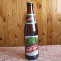 Пиво Барнаульский пивоваренный завод "Барнаульское" живое светлое непастеризованное