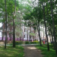 Отдых на бальнеологическом курорте Шмаковка 