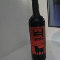 Вино красное полусладкое Castilla-La Mancha "El Tentador"