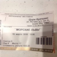 Представление "Морские львы" - Цирк Купчино "Розовый слон" (Россия, Санкт-Петербург)