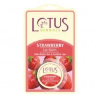 Бальзам-блеск для губ Lotus Herbals Lip Balm Strawberry