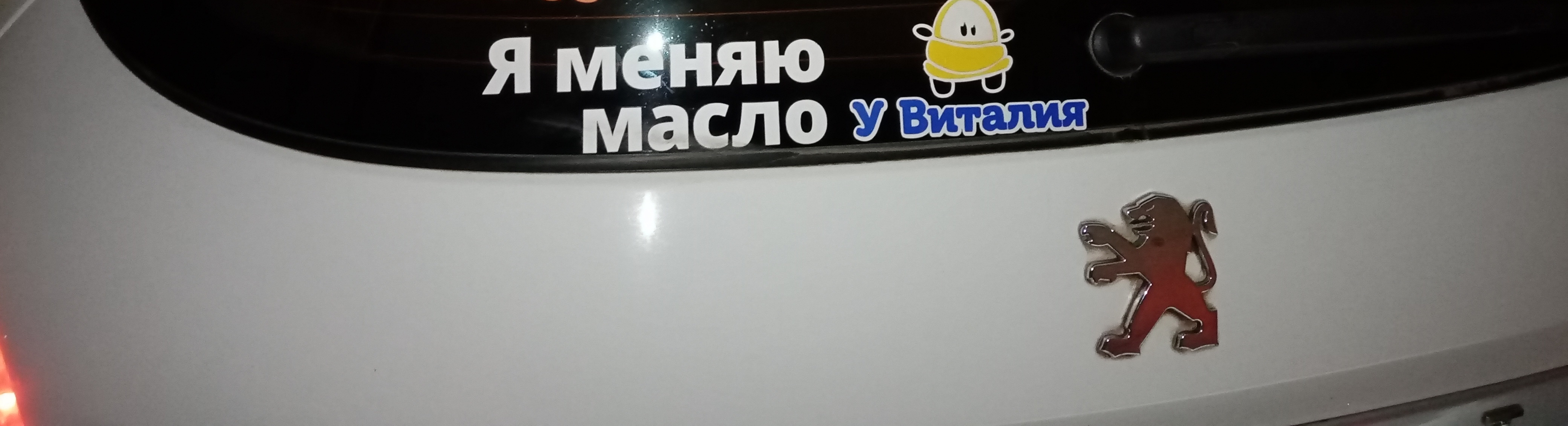 У Виталия — Малых 35 к3, Курск (29 отзывов, 6 фото, телефон и режим работы)  | Рубрикатор