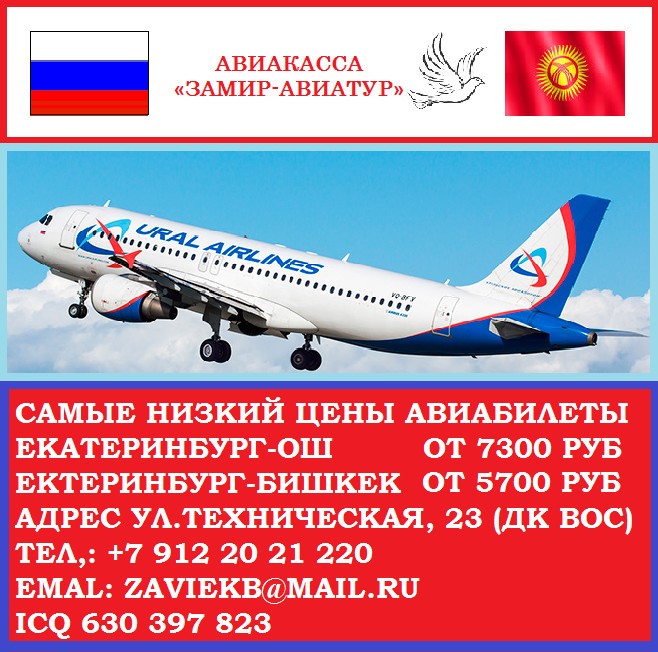 добрынский авиабилеты кыргызский номер телефона