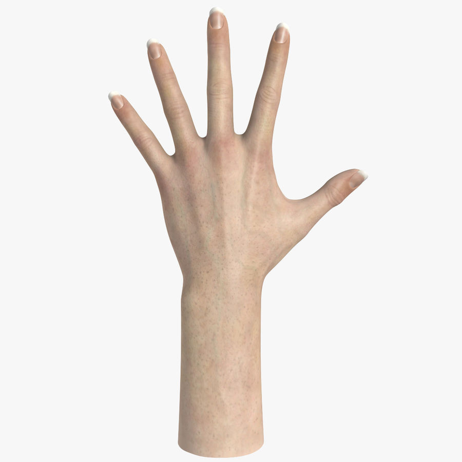 Модель руки для фотошопа